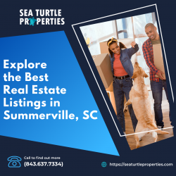 Discover the Best Real Estate Listings in Summerville, SC with Sea Turtle Properties: Your Guide ...