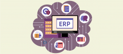 ERP Software Developers in India