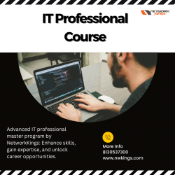 IT Professional Master Program Course