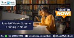 Summer Training Institute in Noida