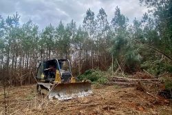 Transforming Landscapes: Expert Land Clearing in Hattiesburg