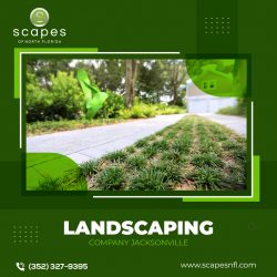 Landscaping Company Jacksonville