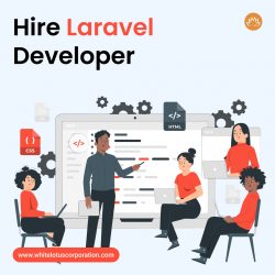 Hire Laravel Developer