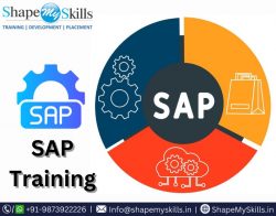 Learn the Best Way to Grow Your Career Skills in SAP at ShapeMySkills