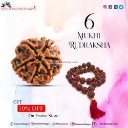 Get 10% Off on 6 Mukhi Rudraksha Online in India