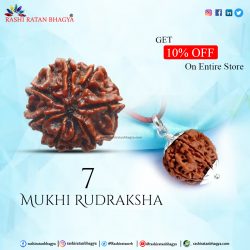 Buy 7 Mukhi Rudraksha Online in India Get A 10% Discount