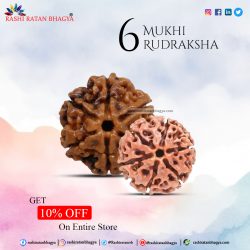 Get 10% Discount Buy 6 Mukhi Rudraksha Beads this Shravan Maas