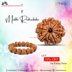 Shravan mah sale get 10% discount on entire 8 Mukhi Rudraksha Beads