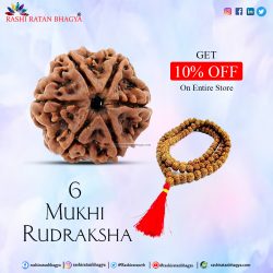 Get 10% Off on 6 Mukhi Rudraksha Online in India