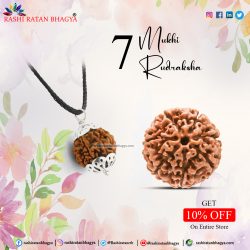 Get 10% off 7 Mukhi Rudraksha Online from Rashi Ratan Bhagya