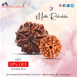 Get 10% Discount Buy 7 Mukhi Rudraksha Beads this Shravan Maas