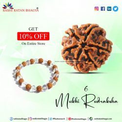 Get 10% off 6 Mukhi Rudraksha Online from Rashi Ratan Bhagya