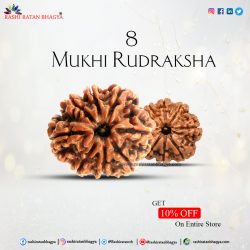 Get 10% Discount Buy 8 Mukhi Rudraksha Beads this Shravan Maas