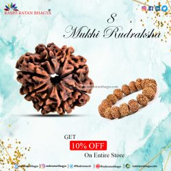 Get 10% off 8 Mukhi Rudraksha Online from Rashi Ratan Bhagya