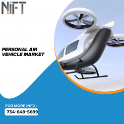 Personal air vehicle market