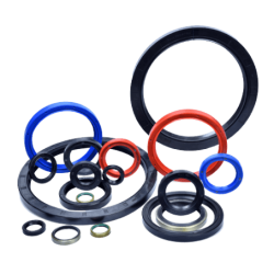 OIL SEALS