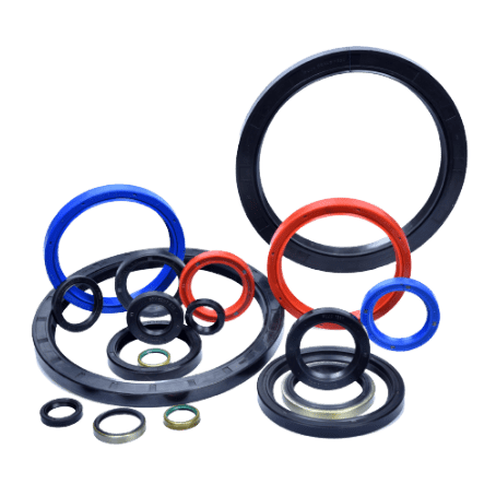 OIL SEALS