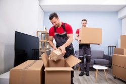 Packing And Unpacking Services Tampa