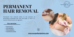 Effortless Elegance: Permanent Hair Removal Solutions