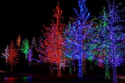 Permanent Led Christmas Lights