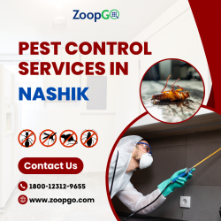 How to get rid of smelly pest away from your home?