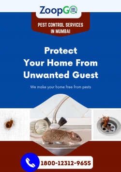 Professional Residential Pest Control Services in Mumbai