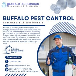 Looking for the Best Pest Control Technicians in Buffalo