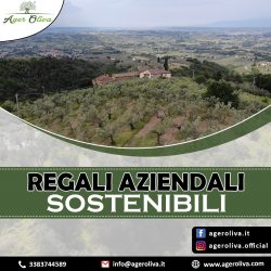 Regali Aziendali Sostenibili