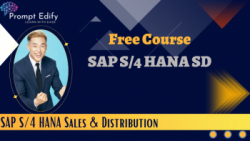 SAP System Course