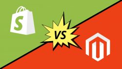 Shopify Vs Magento:Which Is The Best Ecommerce Platform