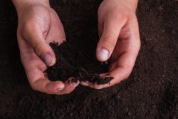 Soil Remediation Services in Hillside, NJ