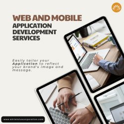 Web and Mobile Application Development Company