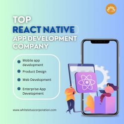 Top React Native Development Companies in USA