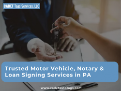 Trusted Motor Vehicle Services