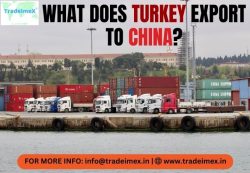 Turkey Export Data