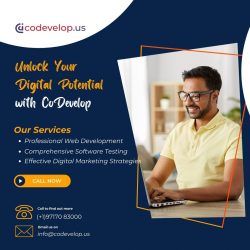 Unlock your digital potential with codevelop