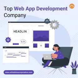 Top Web App Development Company