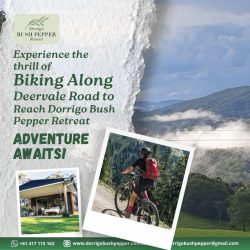 Welcome to Best Deer Vale Accommodation by Dorrigo Bush Pepper!