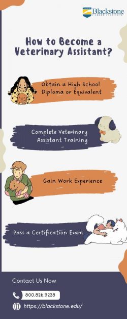 Veterinary Assistant Training