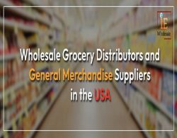 Wholesale Grocery Distributors and General Merchandise Suppliers in the USA