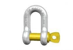 European Dee Type Commercial Shackle