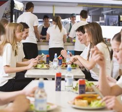 Compostable Tableware Used In Shop