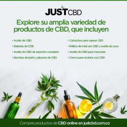 Explore su amplia variedad de productos de CBD, que incluyen: