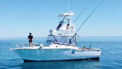 Fishing Adventures: Choosing the Right Boat Charter in Queensland