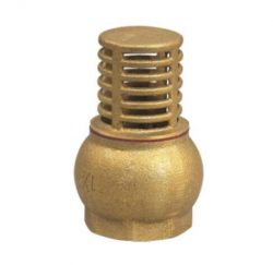 Brass Threaded Check Valves