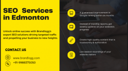 SEO Services in Edmonton