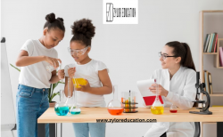 Online Chemistry Tutor| Zylor Education