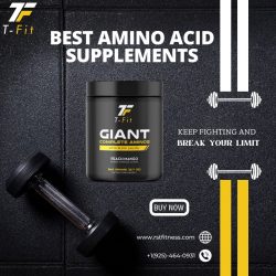 Best Amino Acid Supplements