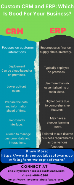 Custom CRM and ERP: Which Is Good For Your Business?