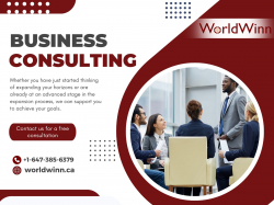 Business Consulting